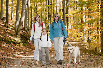 Wanderurlaub im Bayerischen Wald